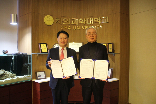 디엠 이미지