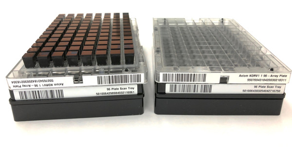 한국인유전체칩 제품. 한 번에 96개 샘플 분석이 가능하다.