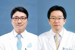 사진 왼쪽부터 감염내과 김의석, 송경호 교수