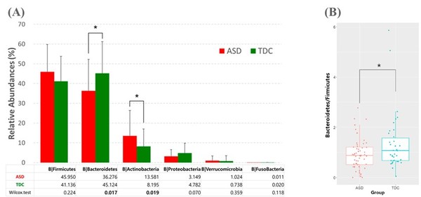 A. ASD 환자와 정상발달대조군(TDC)에게서 발견되는 문(phylum, 생물분류 단위의 하나로 계 다음 단계. 그 이하에는 강이 있다.) 수준에서의 장내 미생물 분포도 그림.B. ASD 환자와 정상발달대조군(TDC)의 의간균류/후벽균(Bacteroidetes/Firmicutes, B/F) 비율 그림.