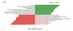 C. ASD 환자와 정상발달대조군(TDC)의 장내 미생물 기능 분석 그림.
