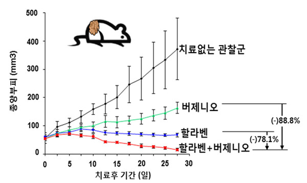 입랜스 내성 동물모델에서 할라벤과 버제니오 병용 투여 시 단독투여 약물에 비해 현저한 종양억제의 우월성을 확인했다.