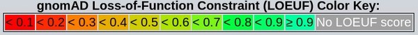 일반적인 기능 상실 관찰/예상 상한 분율(LOEUF) 값. LOEUF 값이 붉은색에 가까울수록 영향력이 크다. 변이체 영향 분석 결과 홀로사이토크롬c 합성효소 변이체의 LOEUF 값은 –0.41로 크게 영향을 미치는 것으로 나타났다.