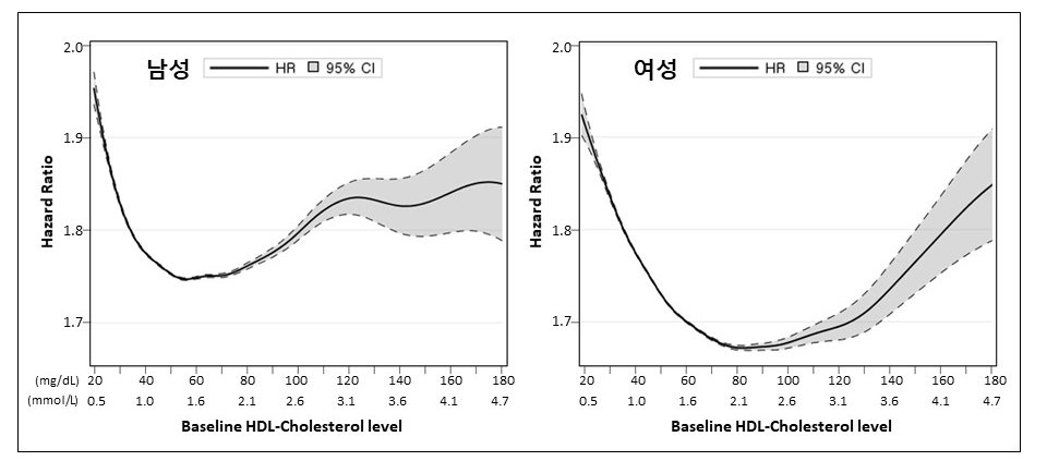 주요 심혈관 사건 위험 비율(Hazard Ratio)과 HDL-콜레스테롤 수치의 관계 그래프. U자 곡선이 여성에서 남성보다 늦게 상향된다.