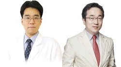 왼쪽부터 성빈센트병원 소화기내과 조익현·이강문 교수