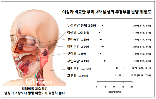 여성과 비교한 우리나라 남성의 두경부암 발병 위험도