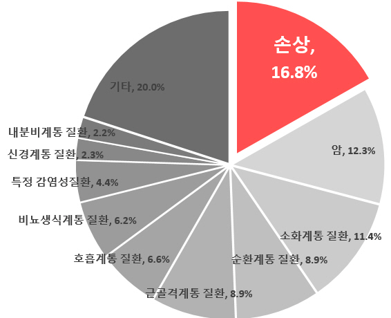 질병군별 입원환자분율(2020년)