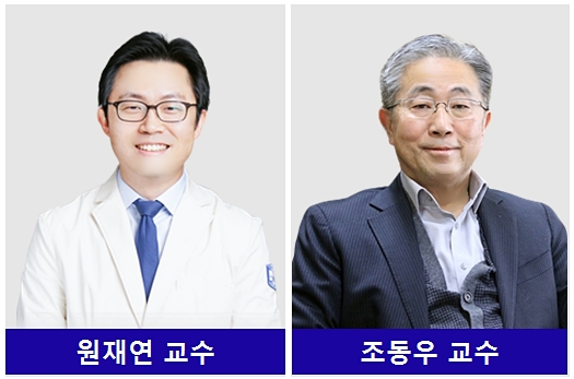 (왼쪽부터)가톨릭대학교 은평성모병원 안과 원재연 교수, 포항공대 기계공학과 조동우 교수