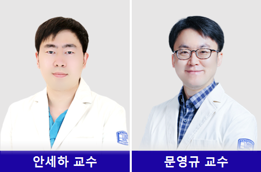 왼쪽부터 가톨릭대학교 은평성모병원 심장혈관흉부외과 안세하 교수, 문영규 교수