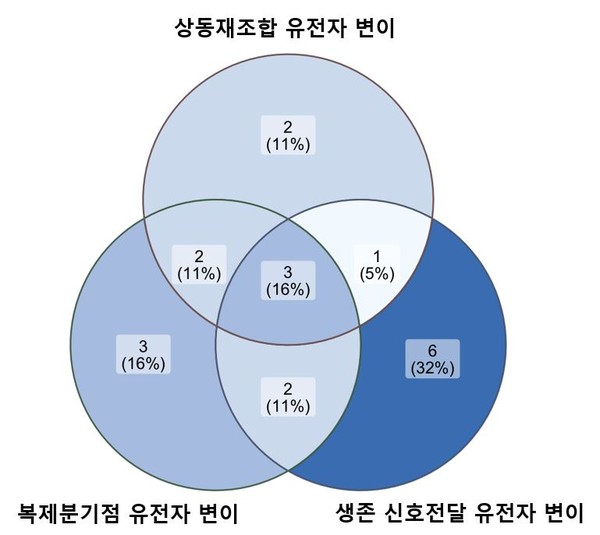 순환혈액 DNA로 발굴한 올라파립 내성기전