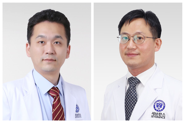 연세대학교 의과대학 용인세브란스병원 신경과 김진권·유준상 교수(사진 왼쪽부터)