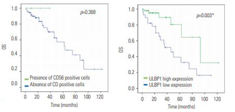 그림2. 난소암에서 NK세포 분포와 ULBP1 발현에 따른 생존률 차이