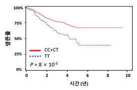 그림1. BRD3 rs2427964 유전자형에 따른 수술 후 폐암 환자 생존율의 변화. BRD3 rs2427964 TT 유전자형을 가진 환자가 CC나 TT 유전자형을 가진 환자에 비해서, 폐암 수술 후 생존율이 훨씬 더 나쁘다.