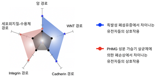 PHMG 성분 가습기살균제에 의한 폐손상과 특발성 폐섬유증의 신호경로 비교 분석 결과