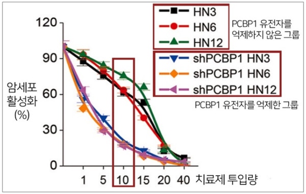 PCBP1 유전자를 억제한 그룹이 암세포 활성화가 최대 70%p 이상 더 낮았다.