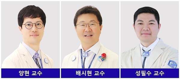 왼쪽부터 가톨릭대학교 은평성모병원 소화기내과 양현 교수, 배시현 교수, 서울성모병원 소화기내과 성필수 교수