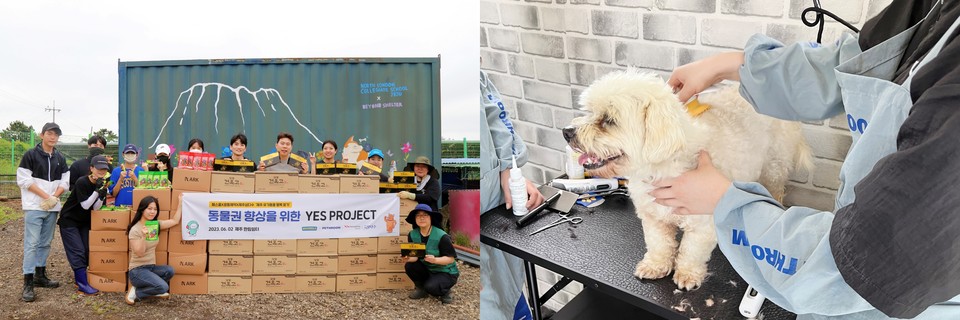 광동제약 ‘YES 프로젝트 2기’ 유기동물 봉사활동